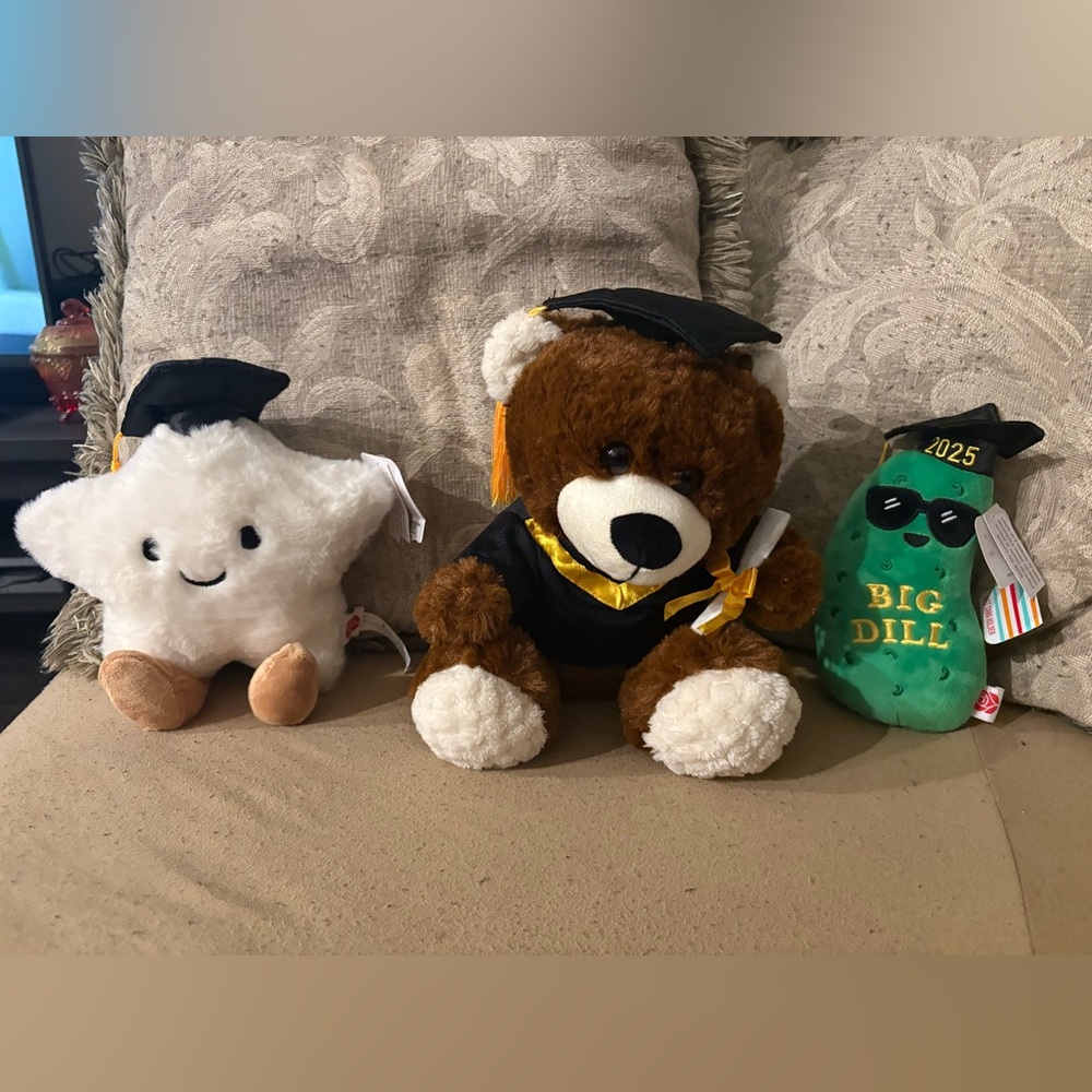 !!!SET OF 3!!! 2025 graduation stuffed animals
